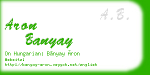 aron banyay business card
